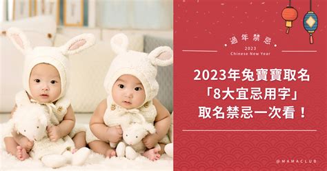 2023兔寶寶|2023兔寶寶取名不燒腦！精選40個最適合的字，以及。